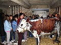 IMG_3922