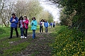 IMG_3937