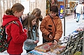 IMG_3946