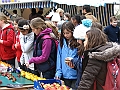 IMG_3963